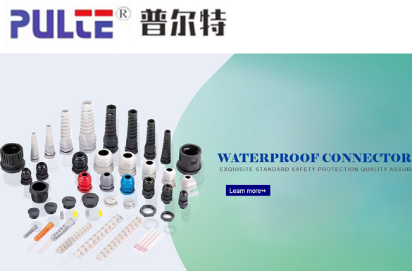 Purte Electric Technology (Wenzhou) Co., Ltd.