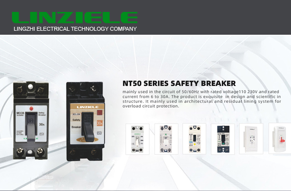 Wenzhou Lingzhi Electrical Technology Company