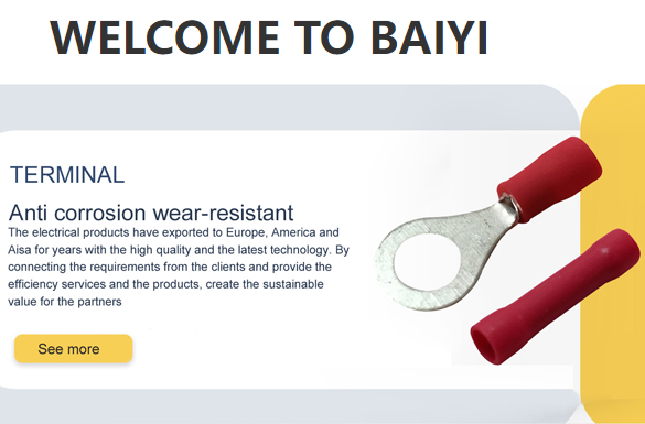 Wenzhou Baiyi Import and Export Co.,Ltd